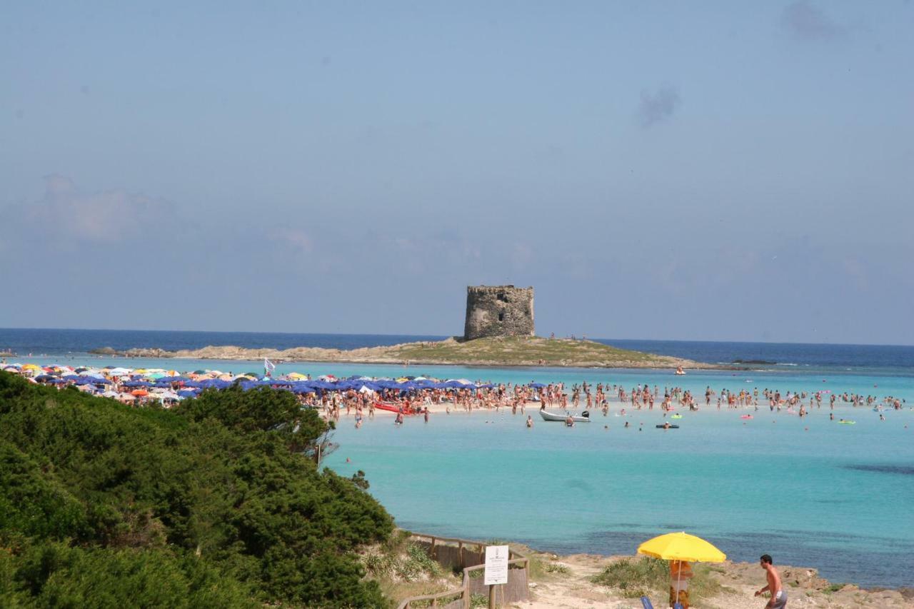 Stintino Country Paradise - Resort & Villas المظهر الخارجي الصورة